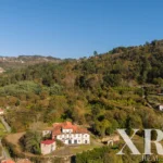 Farmhouse for sale in Santa Leocádia e Mesquinhata, Baião, Porto &bull; X93924 - gallery image