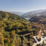 Farmhouse for sale in Santa Leocádia e Mesquinhata, Baião, Porto &bull; X93924 - gallery image