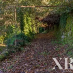 Farmhouse for sale in Santa Leocádia e Mesquinhata, Baião, Porto &bull; X93924 - gallery image
