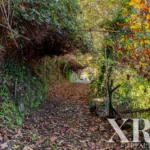 Farmhouse for sale in Santa Leocádia e Mesquinhata, Baião, Porto &bull; X93924 - gallery image