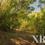 Farmhouse for sale in Santa Leocádia e Mesquinhata, Baião, Porto &bull; X93924 - gallery image