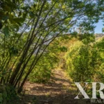 Farmhouse for sale in Santa Leocádia e Mesquinhata, Baião, Porto &bull; X93924 - gallery image