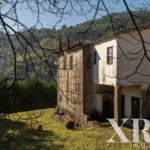 Farmhouse for sale in Santa Leocádia e Mesquinhata, Baião, Porto &bull; X93924 - gallery image