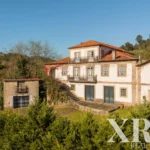 Farmhouse for sale in Santa Leocádia e Mesquinhata, Baião, Porto &bull; X93924 - gallery image