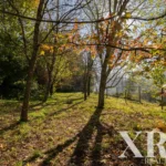 Farmhouse for sale in Santa Leocádia e Mesquinhata, Baião, Porto &bull; X93924 - gallery image