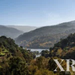 Farmhouse for sale in Santa Leocádia e Mesquinhata, Baião, Porto &bull; X93924 - gallery image