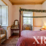 Farmhouse for sale in Santa Leocádia e Mesquinhata, Baião, Porto &bull; X93924 - gallery image