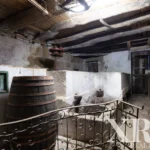 Farmhouse for sale in Santa Leocádia e Mesquinhata, Baião, Porto &bull; X93924 - gallery image