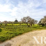 Plot for sale in Alenquer (Santo Estêvão e Triana), Alenquer, Greater Lisbon &bull; X96646 - gallery image