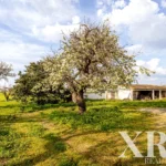 Plot for sale in Alenquer (Santo Estêvão e Triana), Alenquer, Greater Lisbon &bull; X96646 - gallery image