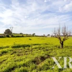 Plot for sale in Alenquer (Santo Estêvão e Triana), Alenquer, Greater Lisbon &bull; X96646 - gallery image