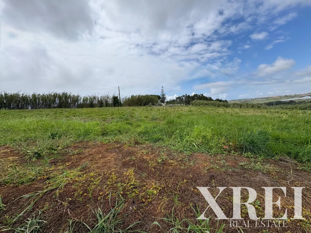 Land for sale in A dos Cunhados, Torres Vedras, Greater Lisbon • X97548