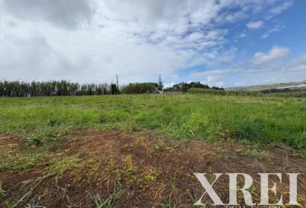 Land for sale in A dos Cunhados, Torres Vedras, Greater Lisbon &bull; X97548