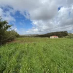 Land for sale in A dos Cunhados, Torres Vedras, Greater Lisbon • X97548 - gallery image