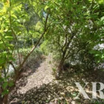 Apartment 3-bedroom for sale in Bonfim, Porto • X98339 - gallery image
