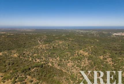 Land for sale in Melides, Grândola, Setúbal &bull; X98225