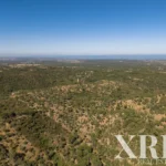 Land for sale in Melides, Grândola, Setúbal • X98225 - gallery image
