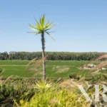 Apartment 1-bedroom for sale in Comporta, Alcácer do Sal, Setúbal • X97866 - gallery image
