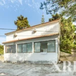 Farmhouse for sale in S.Maria e S.Miguel, S.Martinho, S.Pedro Penaferrim, Sintra, Greater Lisbon • X99471 - gallery image
