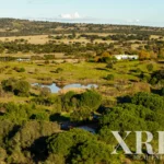 Farmhouse for sale in Alcáçovas, Viana do Alentejo, Évora • X94911 - gallery image