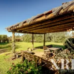 Farmhouse for sale in Alcáçovas, Viana do Alentejo, Évora • X94911 - gallery image