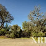 Farmhouse for sale in Alcáçovas, Viana do Alentejo, Évora • X94911 - gallery image
