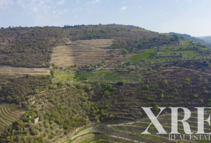 Land for sale in Covas do Douro, Sabrosa, Vila Real &bull; X99381