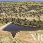Farmhouse for sale in Salvada e Quintos, Beja &bull; X96566 - gallery image