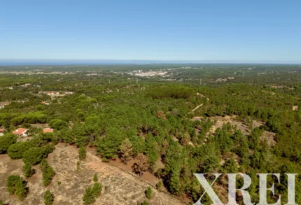 Land for sale in Melides, Grândola, Setúbal &bull; X99621