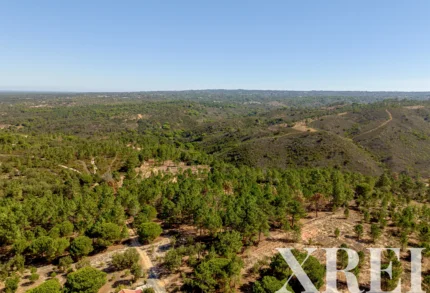 Land for sale in Melides, Grândola, Setúbal &bull; X99621