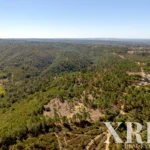 Land for sale in Melides, Grândola, Setúbal • X99621 - gallery image
