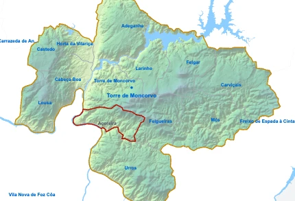 Açoreira