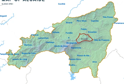 Alcaide