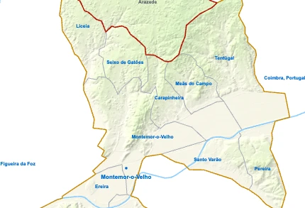 Arazede