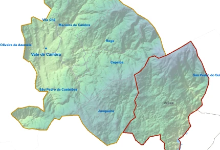 Arões