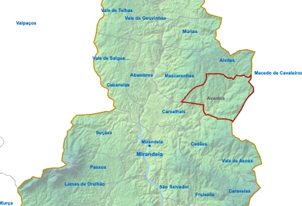 Avantos