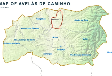 Avelãs de Caminho