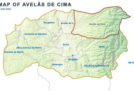 Avelãs de Cima