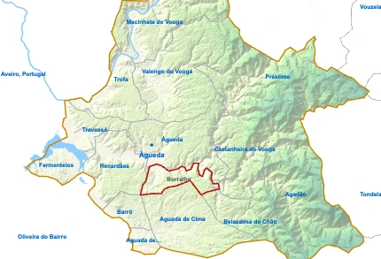 Borralha