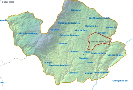 Canas de Santa Maria