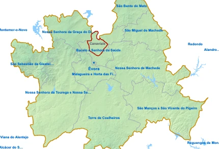 Canaviais