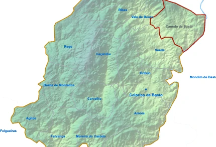 Canedo de Basto