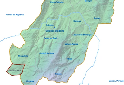 Carrapichana