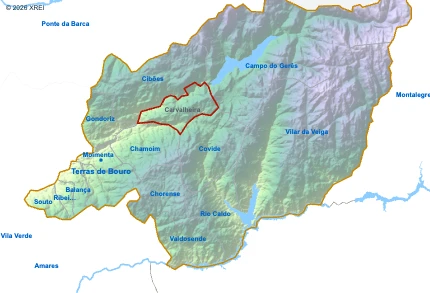 Carvalheira