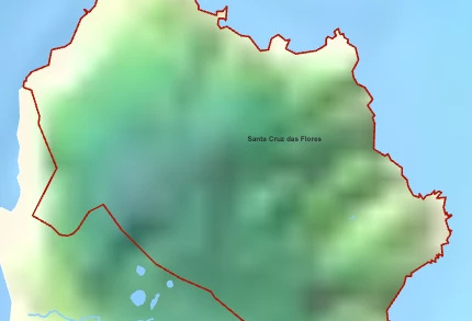 Cedros