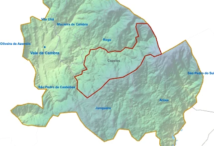 Cepelos