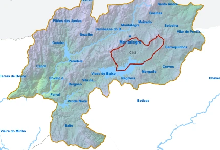 Chã