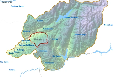 Chamoim