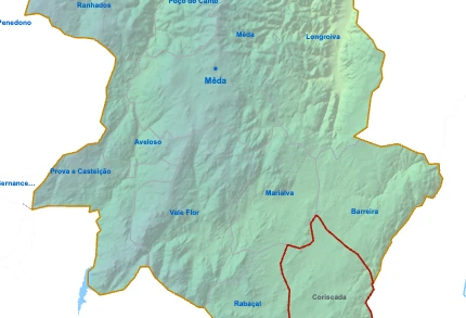 Coriscada