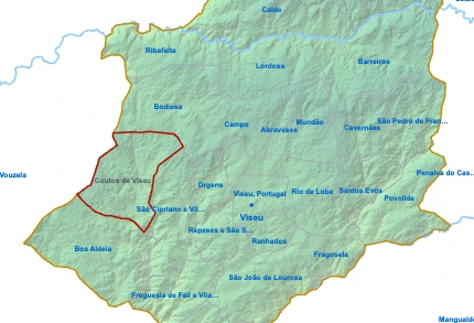 Coutos de Viseu
